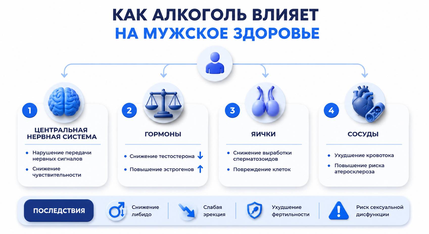 Инфографика на тему влияния алкоголя на мужское здоровье